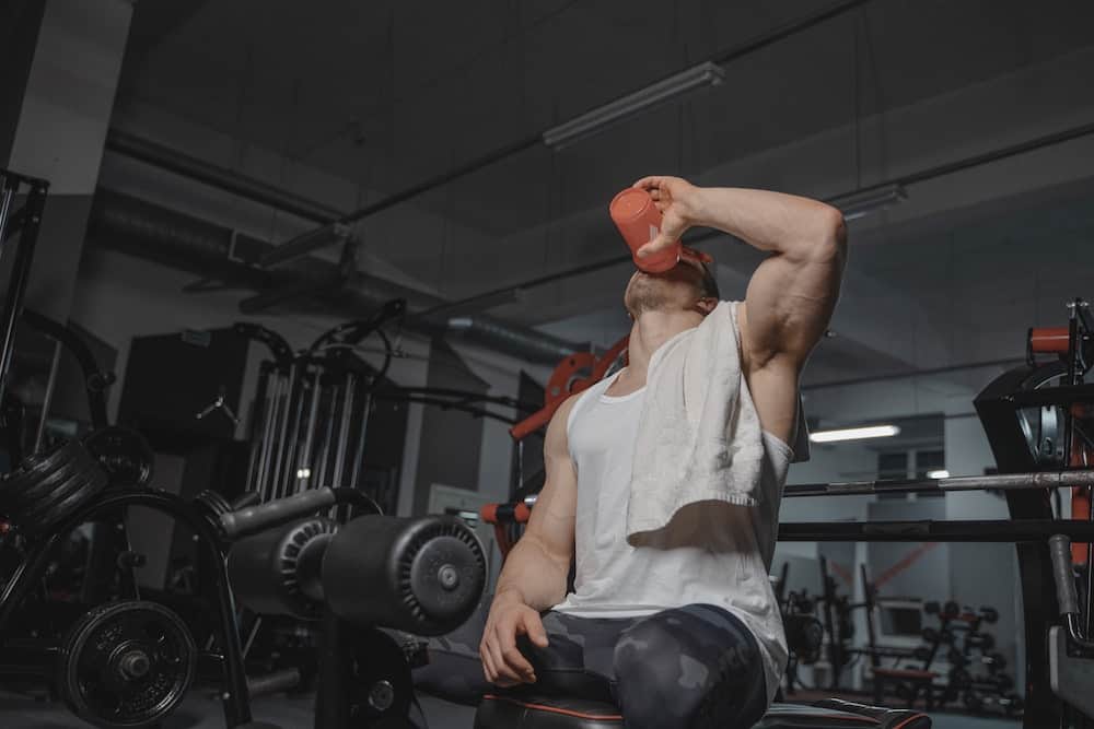 Best Protein Shakers reviews