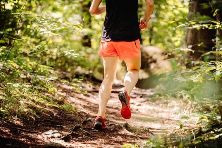 77 Best Cardio Workouts for Weight Loss in 2023