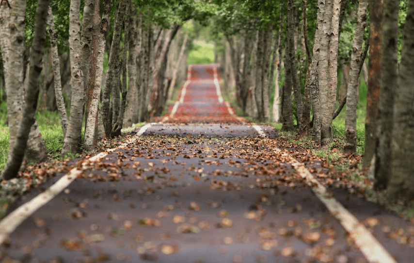 how to stay motivated to get fit