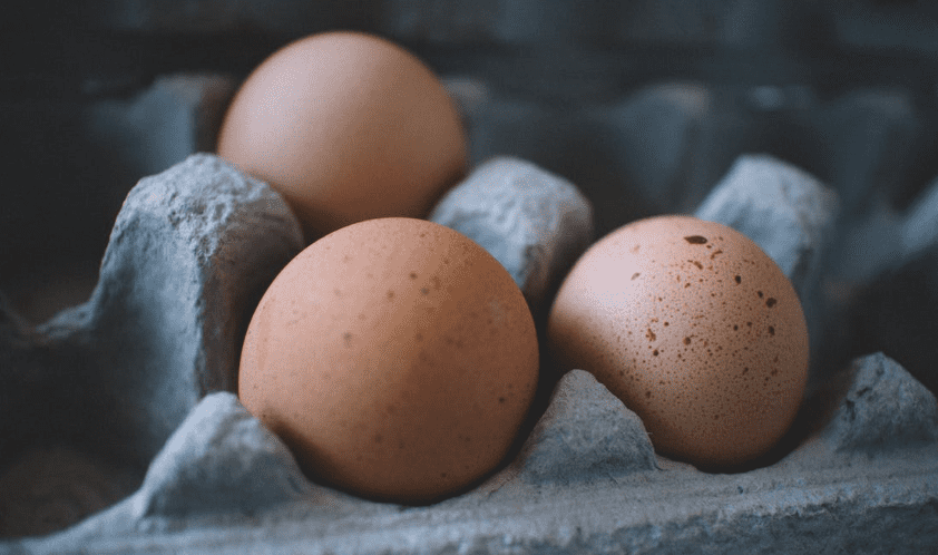 How Much Protein Can Your Body Absorb?